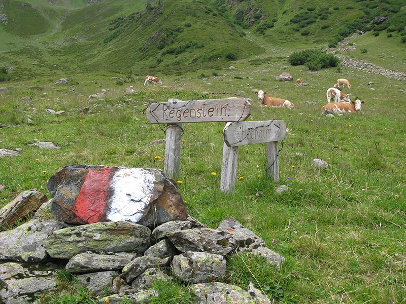 hochalmspitze